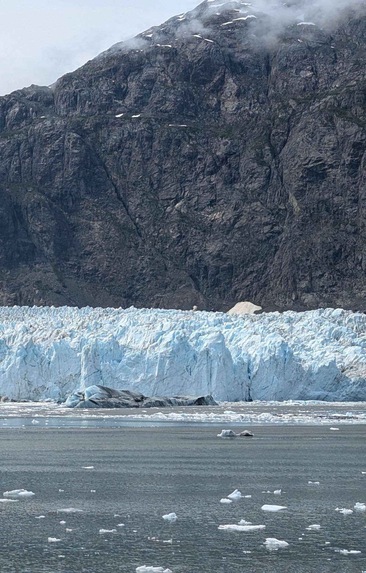 Cruise Ships and Rangers Aboard, Glacier Bay National Park & Preserve