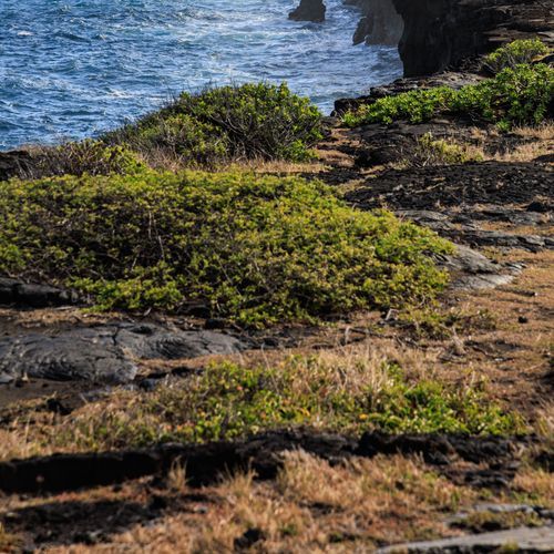 Hōlei Sea Arch