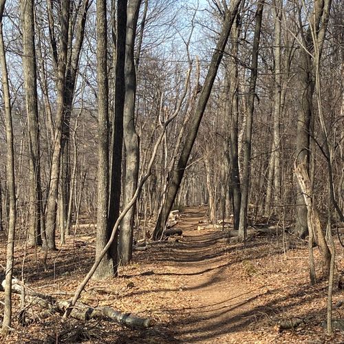 Dickey Ridge Trail