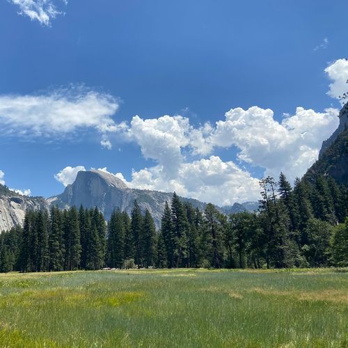 Cook's Meadow Trail