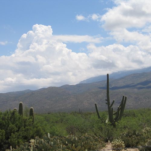 Mica Mountain Trail