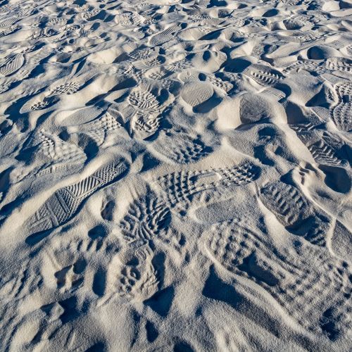 Dune Life Nature Trail