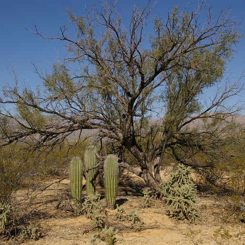 Garwood Trail