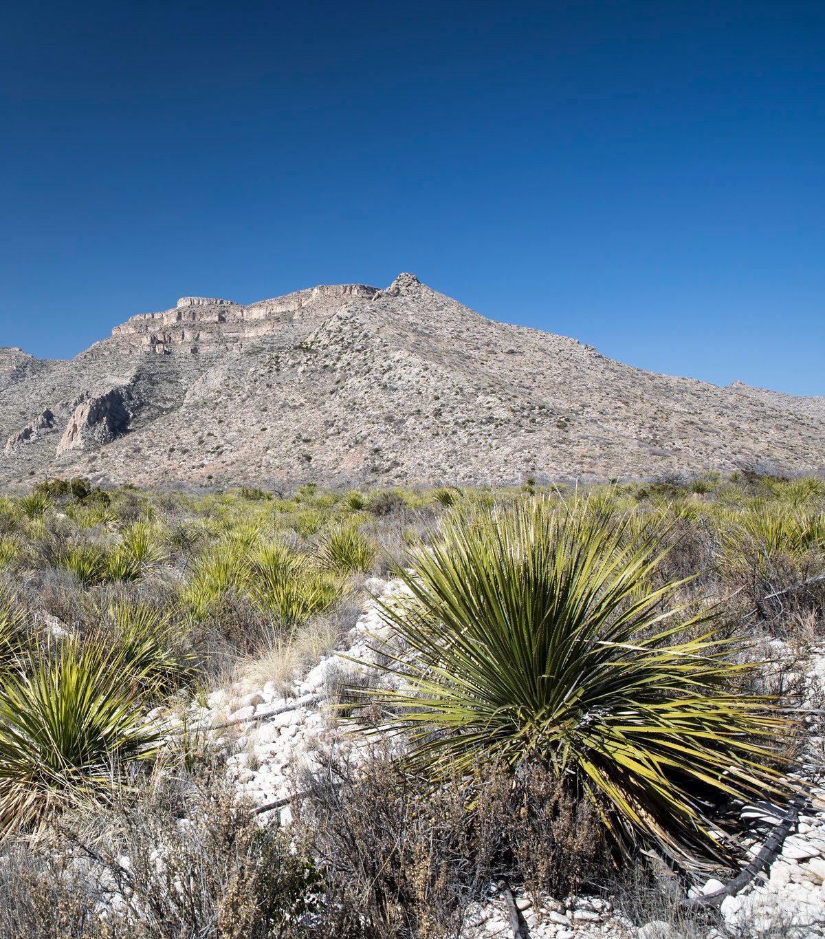 Rattlesnake Canyon and Desert Backcountry Trails, Carlsbad Caverns National Park