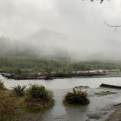 Hoh River Viewpoint