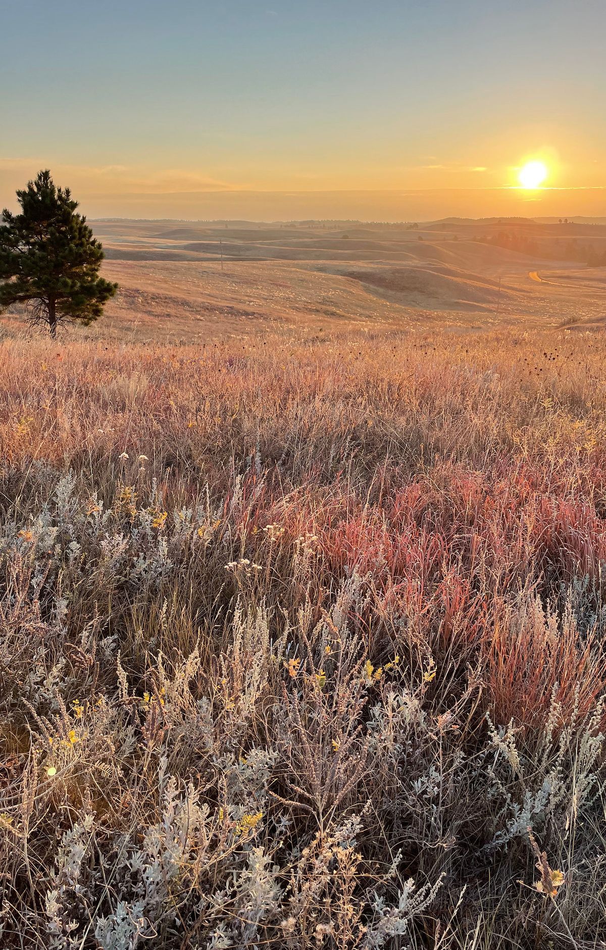 Elk Mountain Nature Trail, Wind Cave National Park