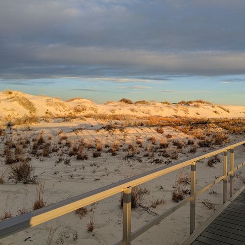 Interdune Boardwalk