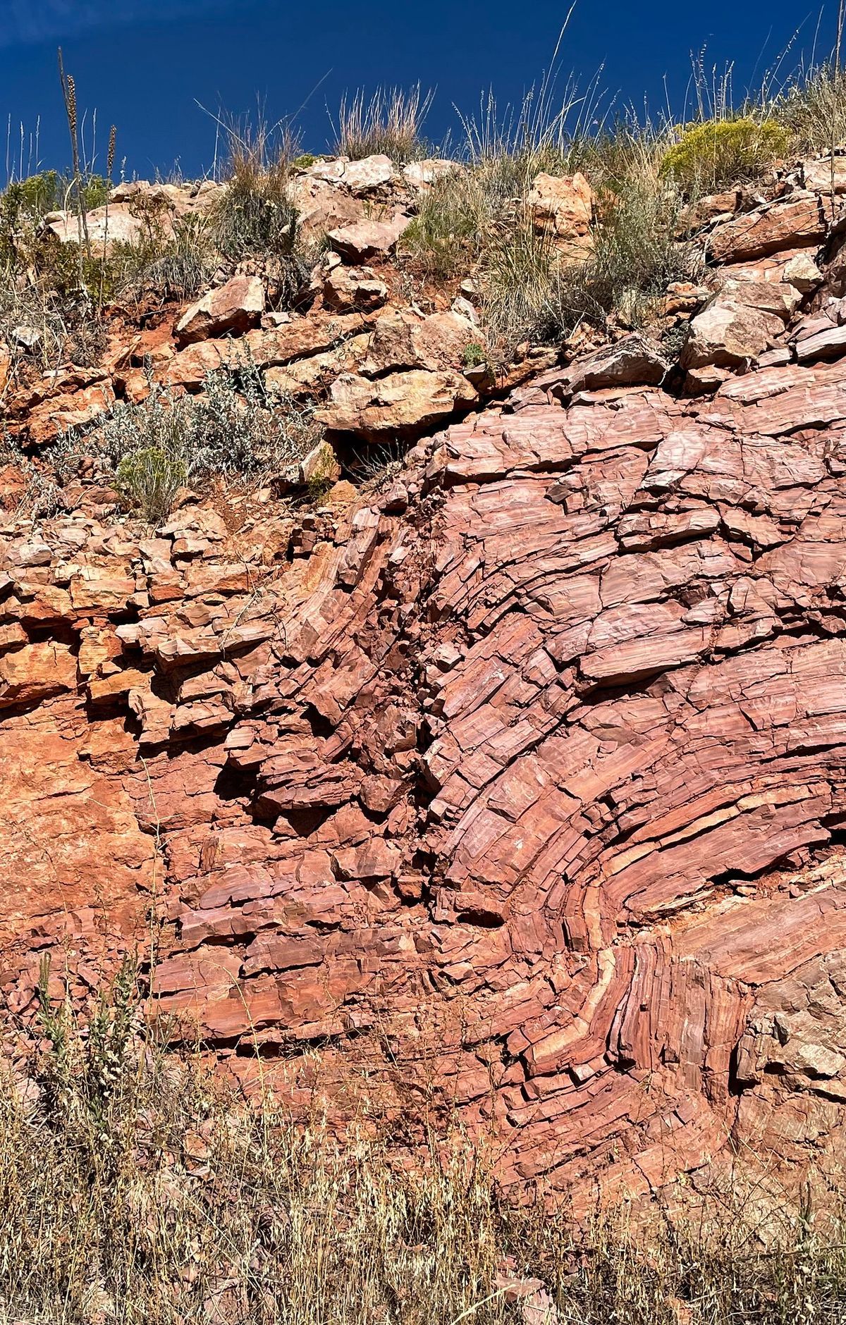 East Bison Flats Trail, Wind Cave National Park