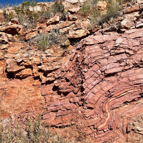 East Bison Flats Trail