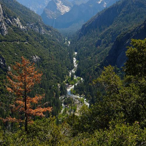 Viewpoint