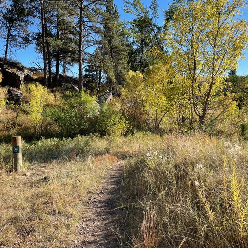Lookout Point Trail
