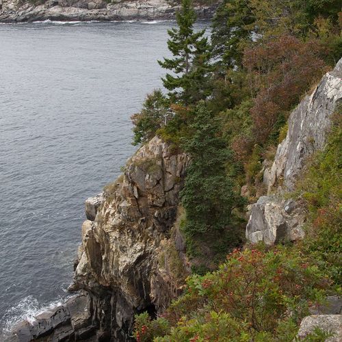 Viewpoint