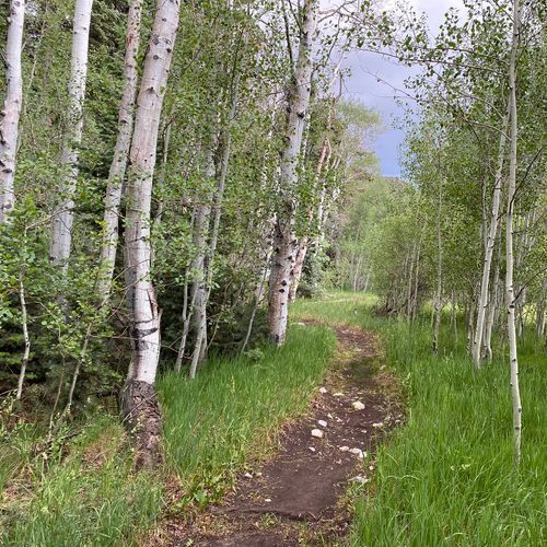 Pole Canyon Trail
