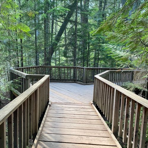 Trail of the Cedars