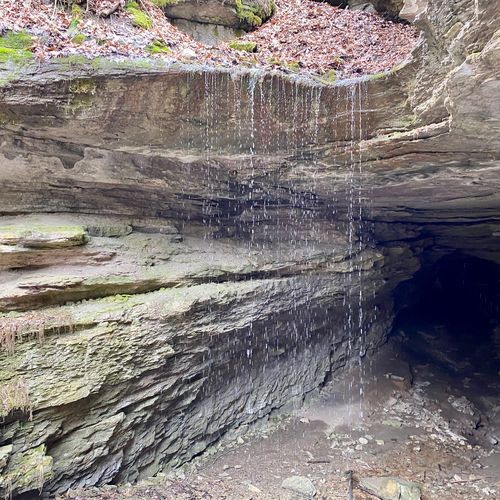 Blair Springs Hollow Trail