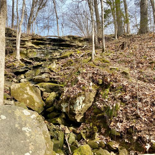 Turnhole Bend Trail