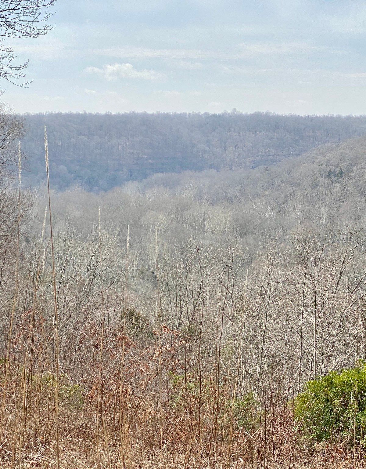Green River Bluffs Trail, Mammoth Cave National Park