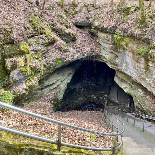 Dixon Cave Trail