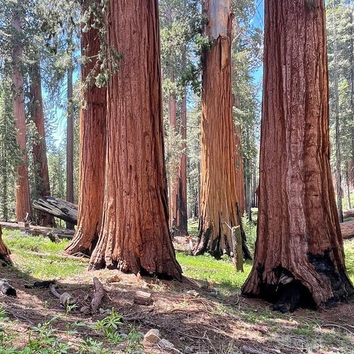 Guardians Loop Trail