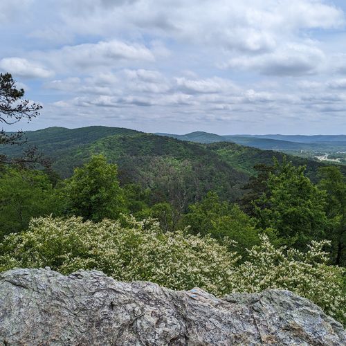 Goat Rock Trail