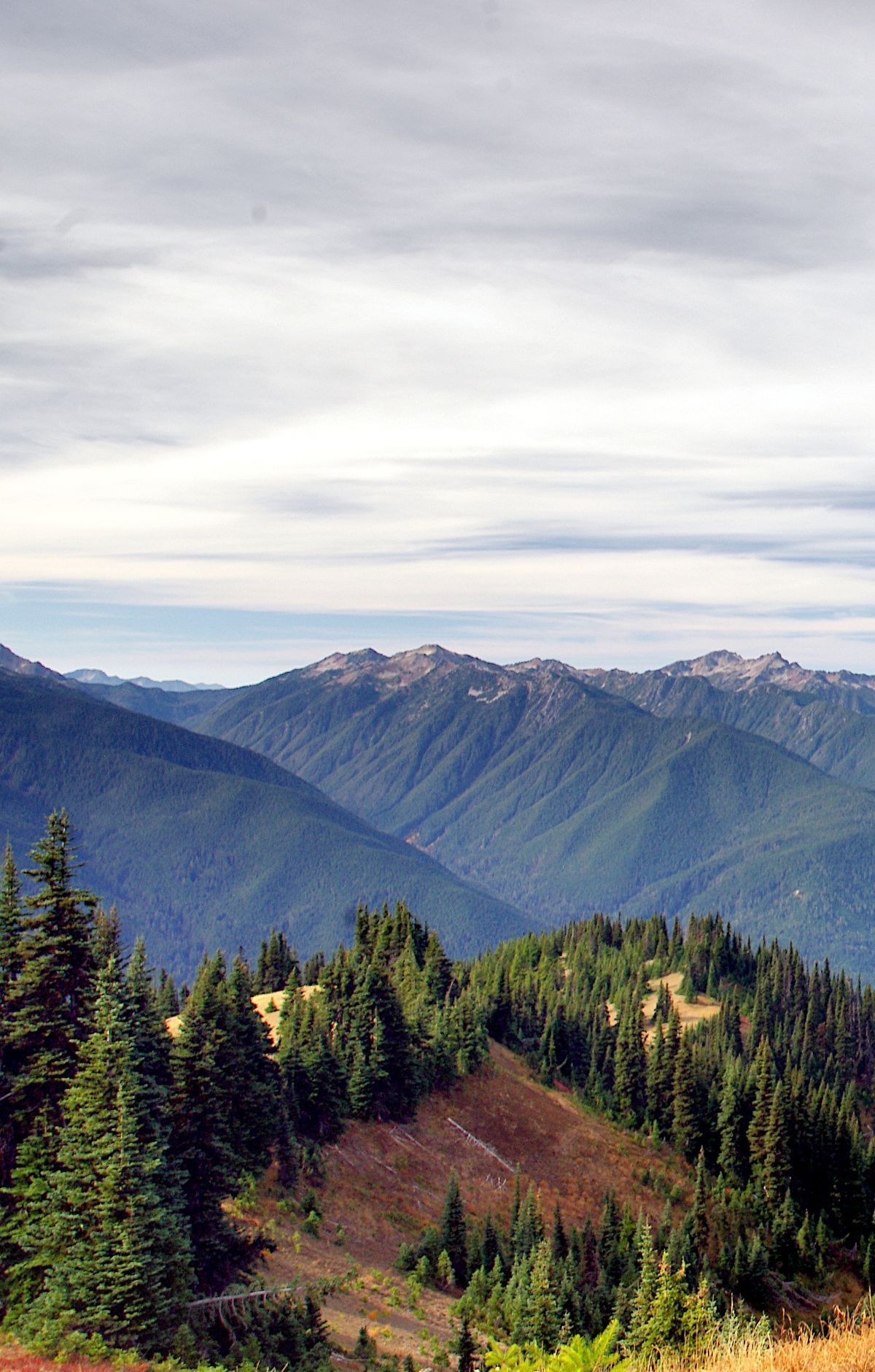 Hurricane Hill Nature Trail, Olympic National Park