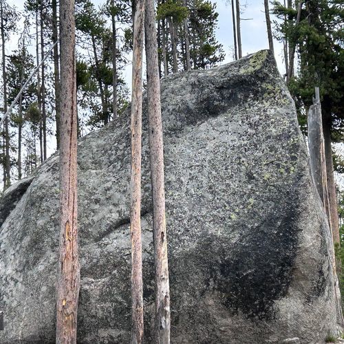 Glacier Boulder