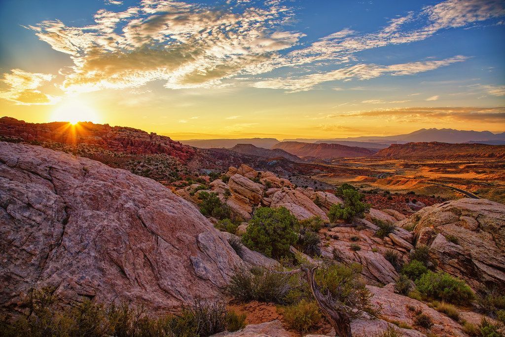 Pinyon, Juniper, and Desert Wildlife, Arches National Park