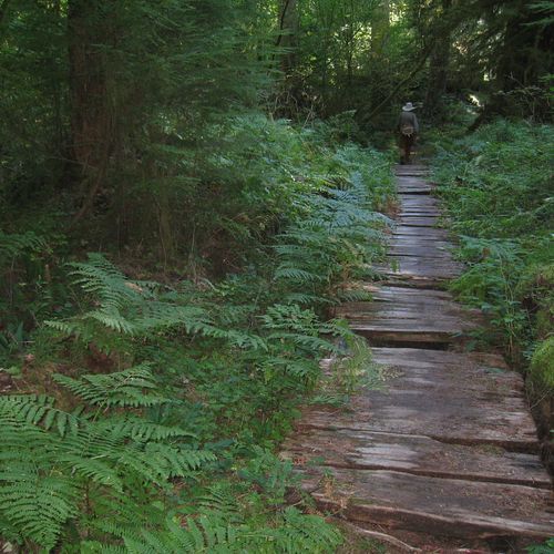 Irely Lake Trail
