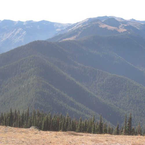 Three Forks Trail