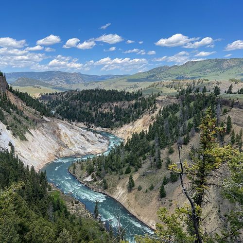 Yellowstone River Overlook