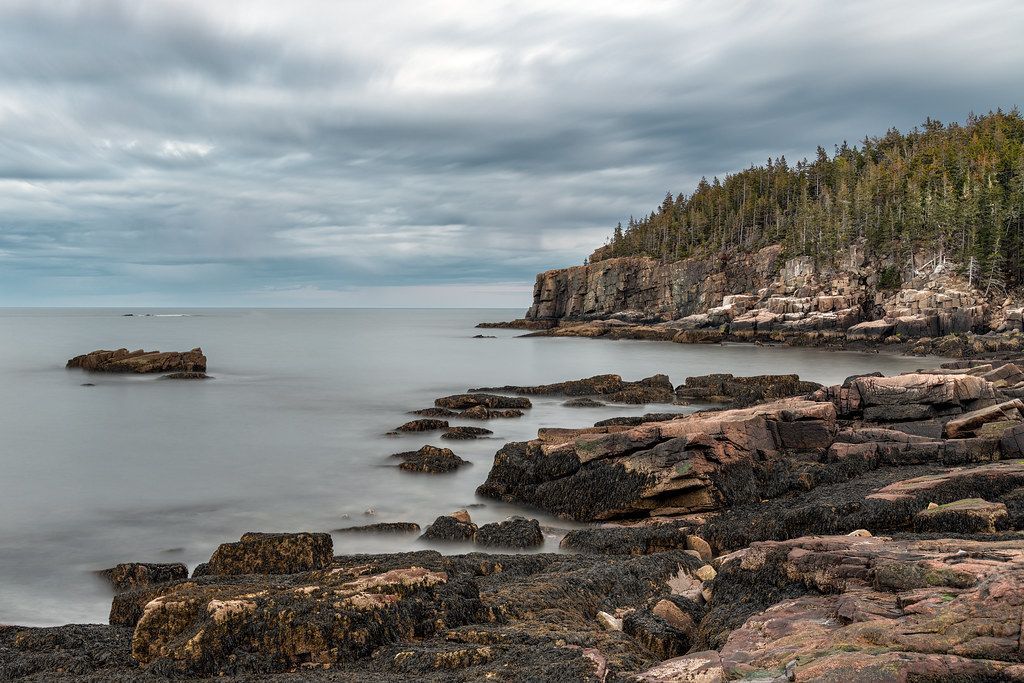 Ocean Path, Acadia National Park
