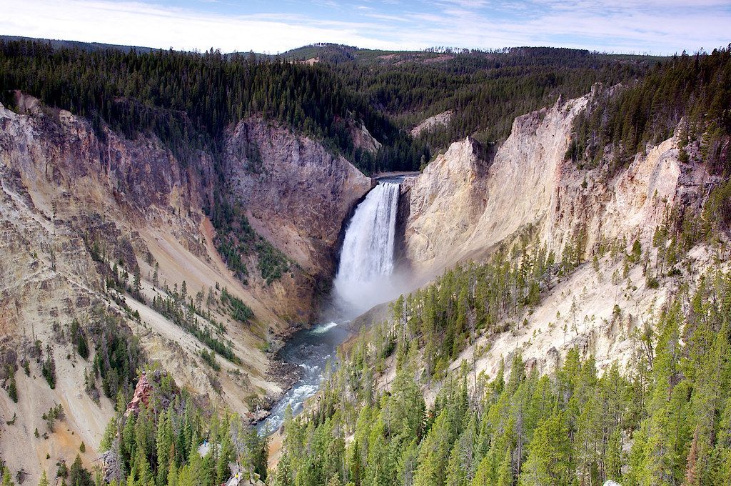 Canyon Overlooks: Artist Point to the Brinks, Yellowstone National Park
