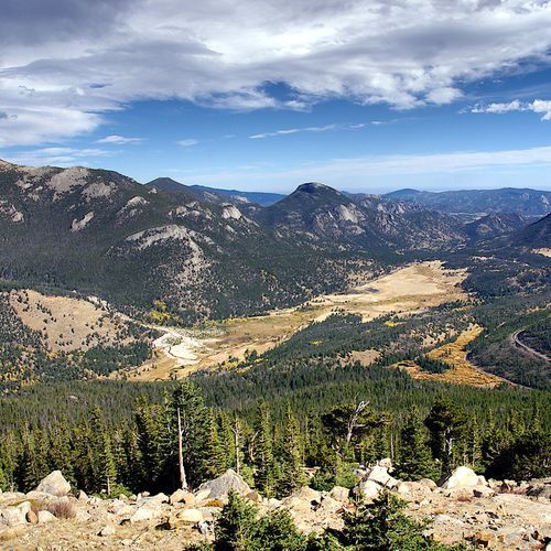 Viewpoint