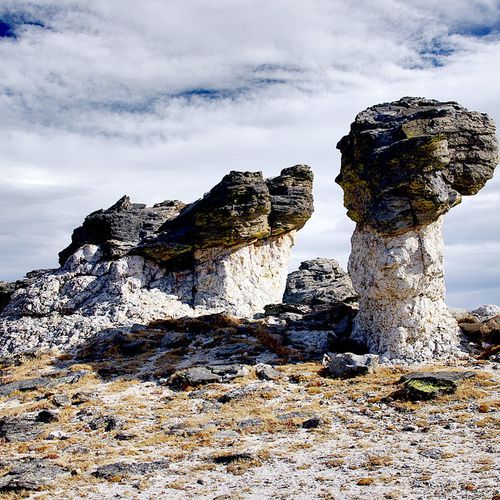 Mushroom Rocks