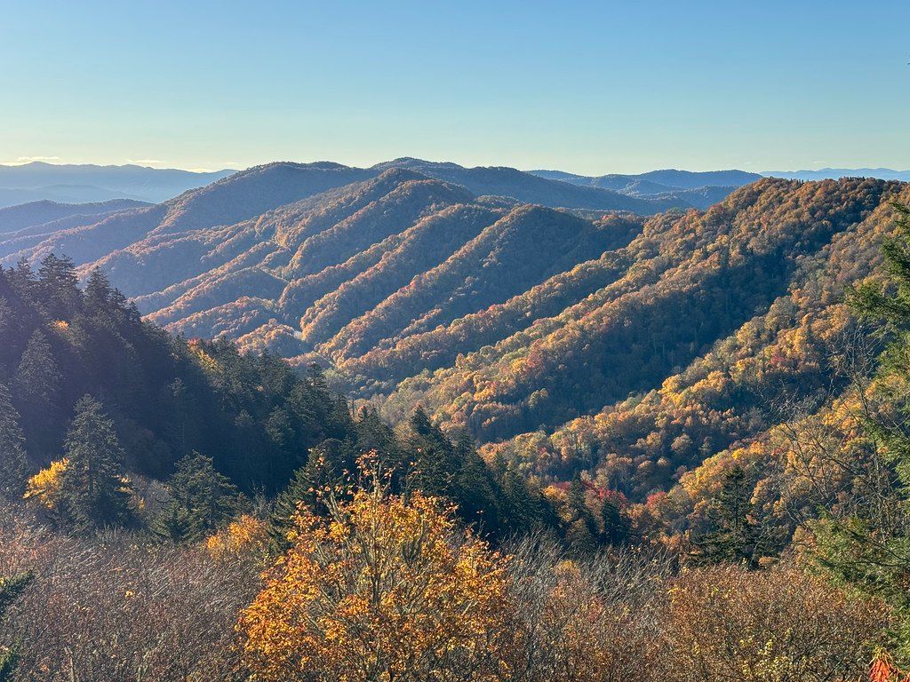 Rockefeller's Gift and the Fight for the Park, Great Smoky Mountains National Park