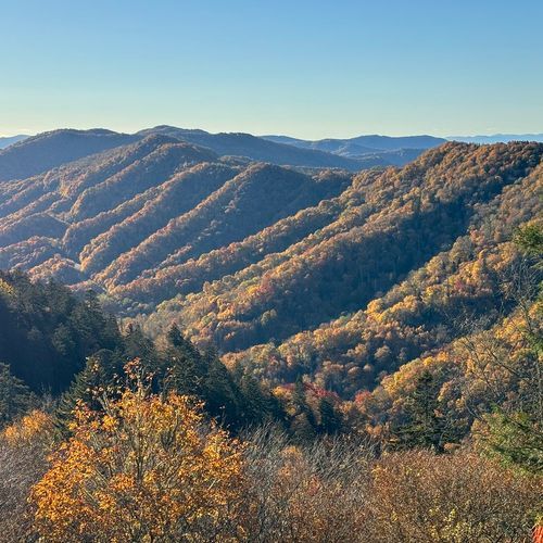 Newfound Gap Overlook