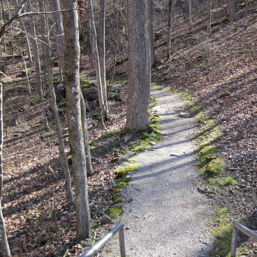 Sinkhole Trail
