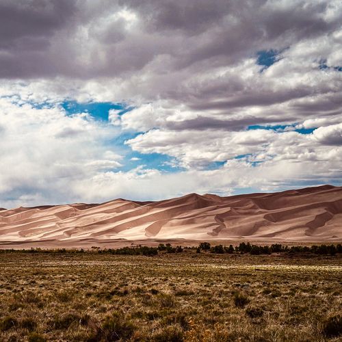 Interpretive Loop Trail