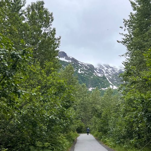 Overlook Trail