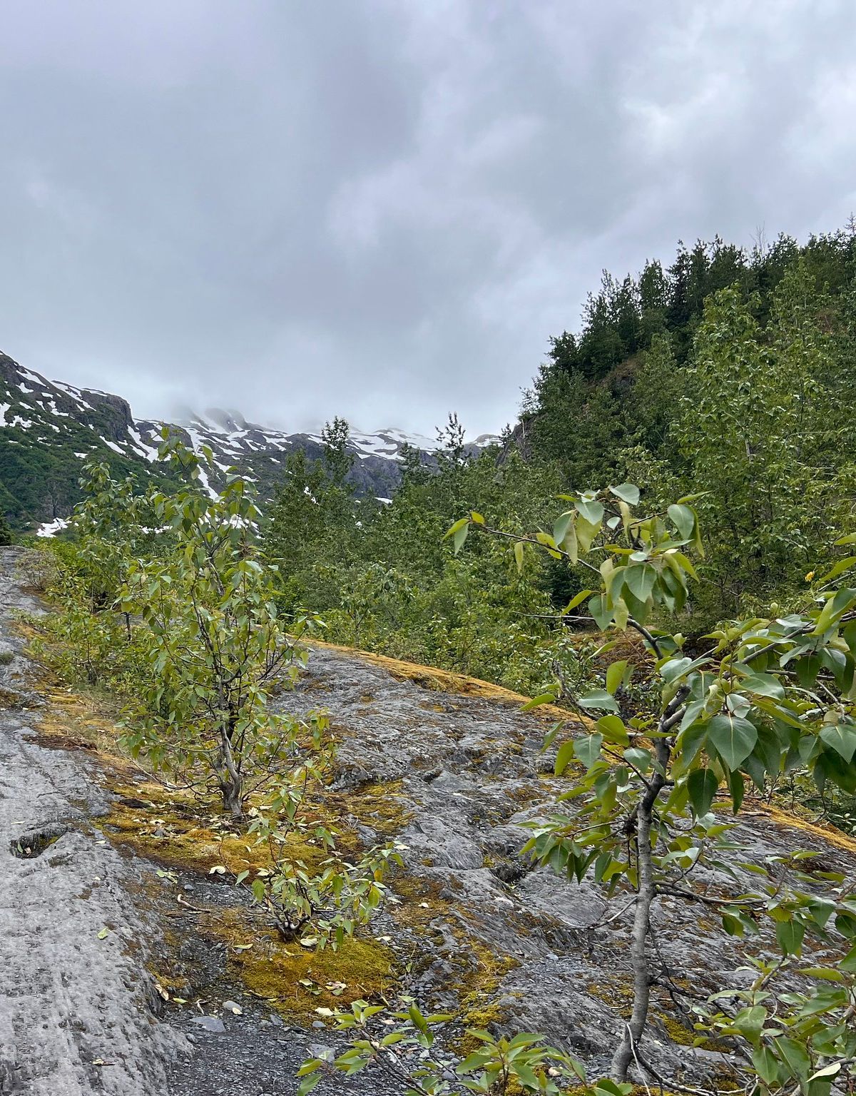 Glacier View Loop Trail, Kenai Fjords National Park