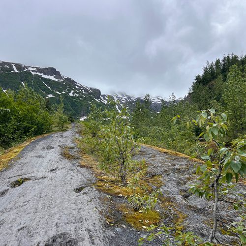 Glacier View Loop Trail