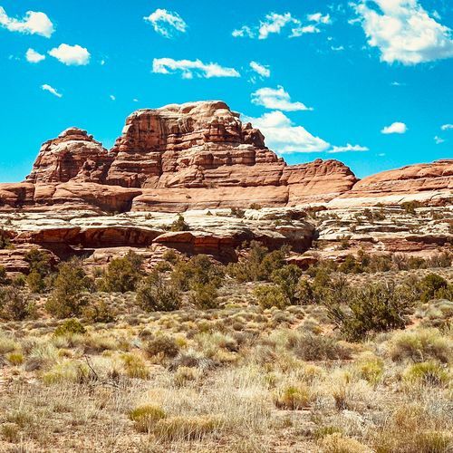 The Needles District Group Campsites