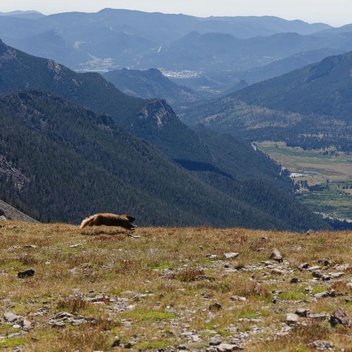 Ypsilon Summit Route