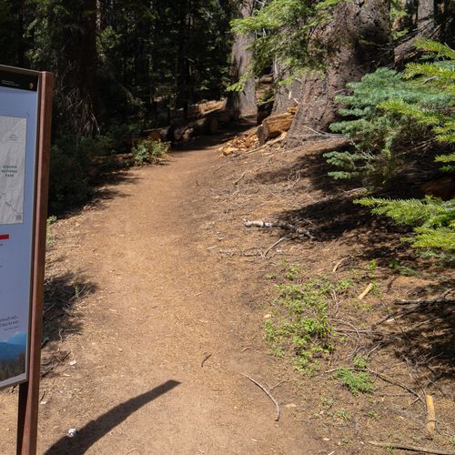 Little Baldy Trail