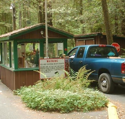 Jedediah Smith Campground