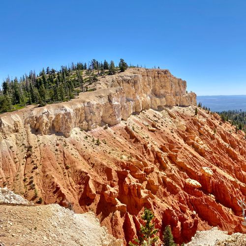 Riggs Spring Loop