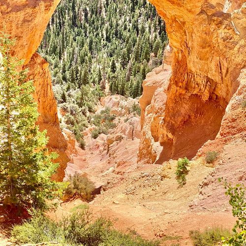 Natural Bridge Overlook
