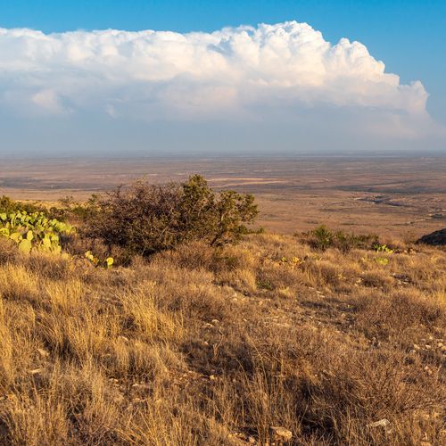 Guano Road Trail