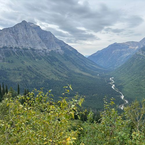 Viewpoint