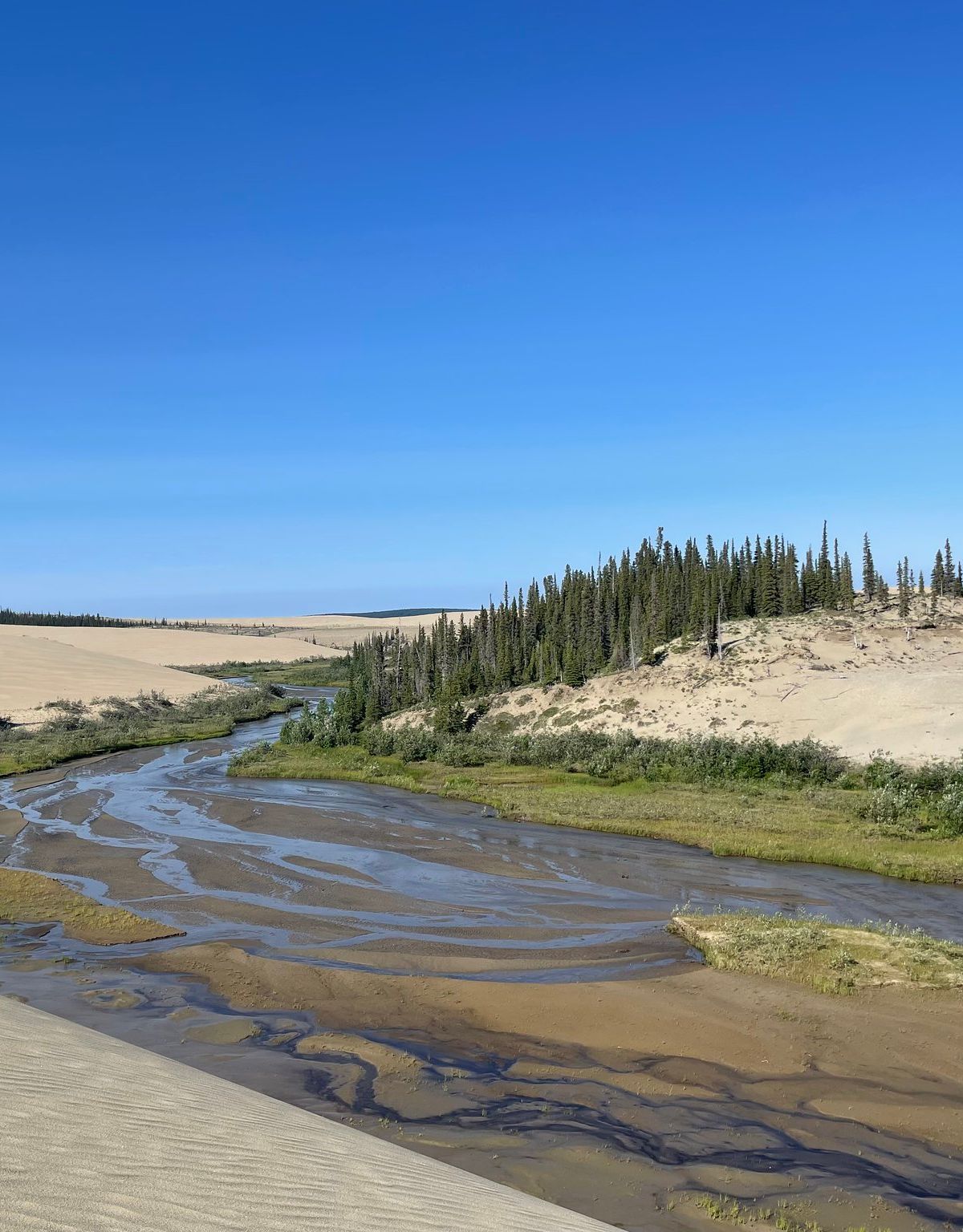 Arctic Dunes Where Forest and Tundra Collide, Kobuk Valley National Park